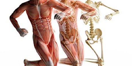 Immagine principale di Apparato osteo-articolare: come star bene NATURAlmente. 
