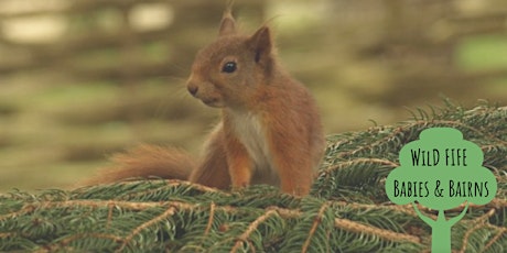 WFBB Squirrels Session - Falkland Estate tickets