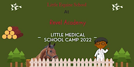 Little Veterinarian - Equine Summer Camp