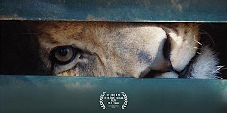 Blood Lions at Cameo hosted by Jason Wood MP primary image