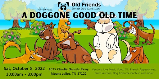 A DOGgone Good OLD Time with Old Friends Senior Dog Sanctuary