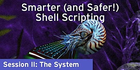 Sane Strategies for Smarter (&  Safer!) Shell Scripting—II: The System tickets