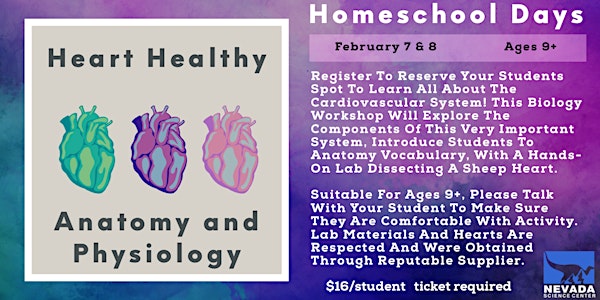Homeschool  Days: Anatomy and Physiology of the Cardiovascular System