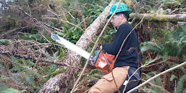 South Coast Chainsaw Felling and Rigging Training