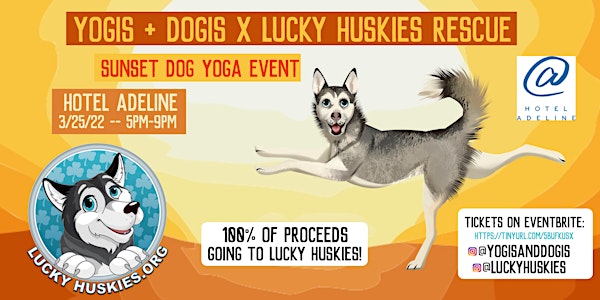 Yogis + Dogis x Lucky Huskies Rescue