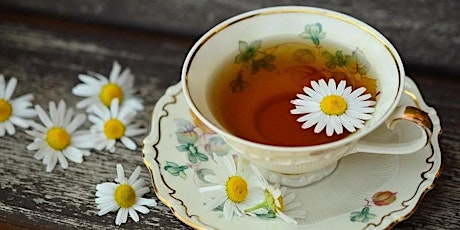 Tranquili-Tea - Masterclass tea-making workshops/Libraries After Dark tickets