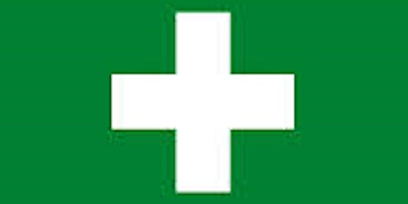 Sutton Explorer Scouts Full First aid course (module K for YL's)