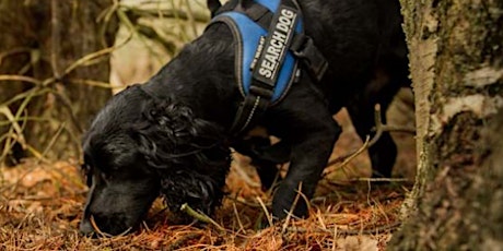 The use of conservation detection dogs for dormouse surveys in the UK tickets