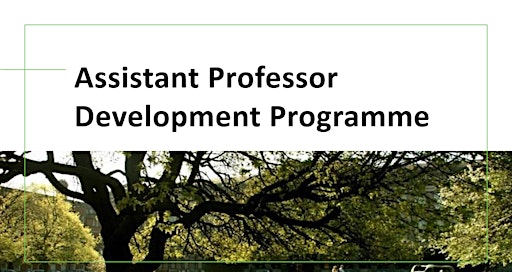 Collection image for Assistant Professor Development Programme