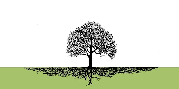Healing the Family Tree - Putting the Fun Back in Family Dysfunction
