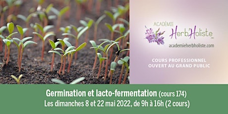 Germination et lacto-fermentation (Cours 174) tickets