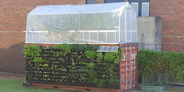 Sprouting Good's Aquaponics School Course