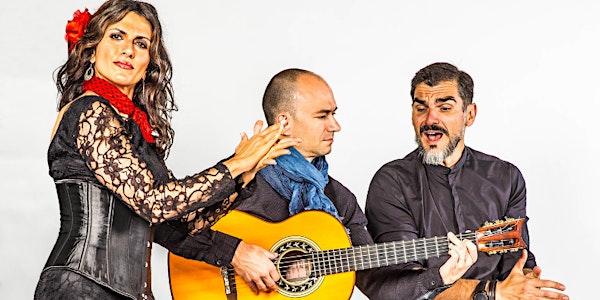 Flamenco Borealis: Volver - 'To Return'