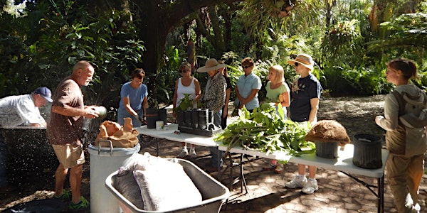 2017 Master Gardener Training Preview Session
