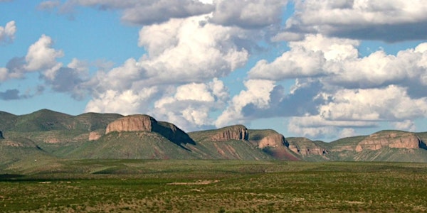 Open Gate: Circle Ranch Day