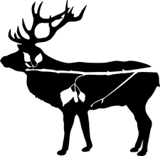Organiser profile image
