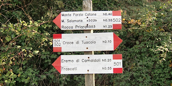2204_Frascati-Rocca Priora