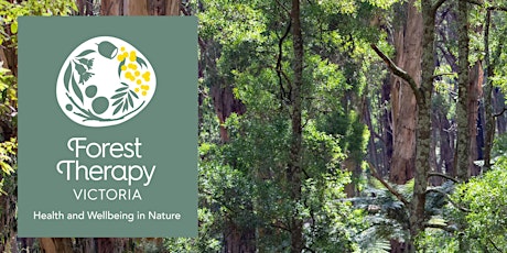 Using Forest Therapy in Your Counselling Practice tickets