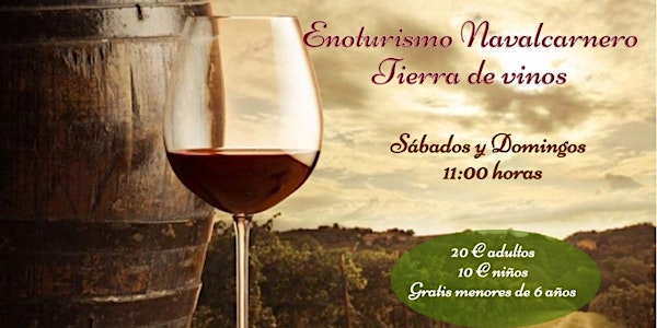 Ruta Cultural y de Enoturismo en Navalcarnero con cata de vinos