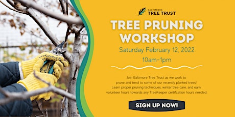 Baltimore Tree Trust Tree Pruning Workshop primary image