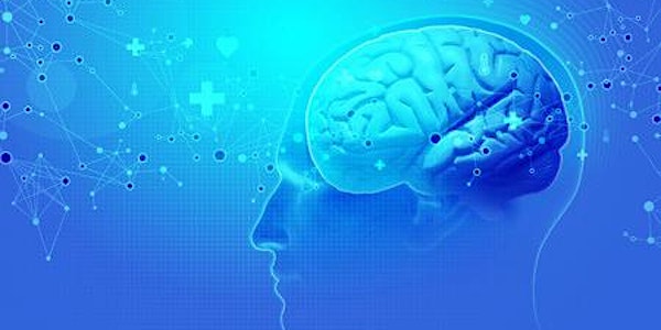 Brain 4.0 Trainingsprogramm