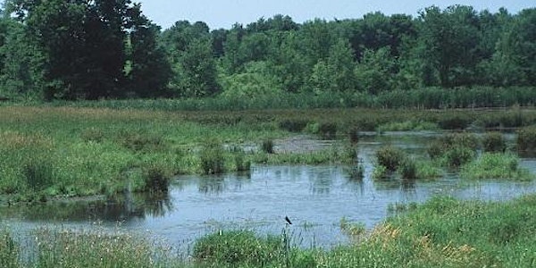 Forest, Wetlands, and Habitat Training - Branch County