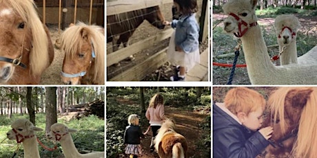 Summer Barn and Animal Farm - Private Hire - Apr 2022