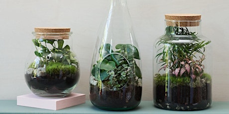 Create your own Plant Terrarium with Green & Wild tickets