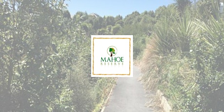Mahoe Native Reserve, Lincoln primary image