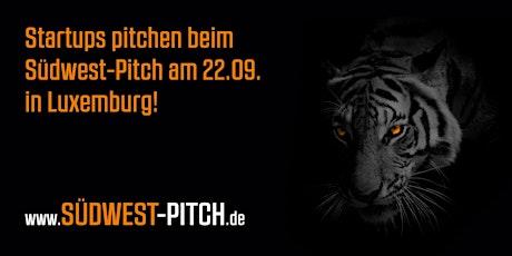 Hauptbild für Der 5. SÜDWEST-PITCH (Elevator Pitch)