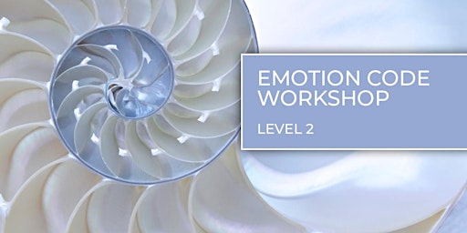 Healing Through The Emotion Code Workshop — Level 2 | July 17