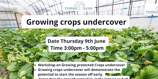 Growing Crops- Undercover