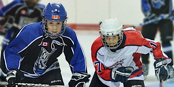 Skater Skills: U7 (2015) to U14 (2008): 2:00pm – 3:30pm