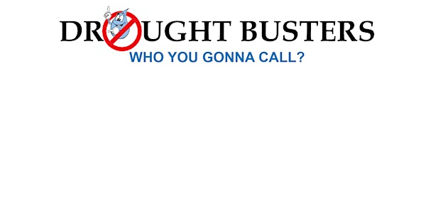 Drought Busters: Solutions to Reduce Your Water Footprint