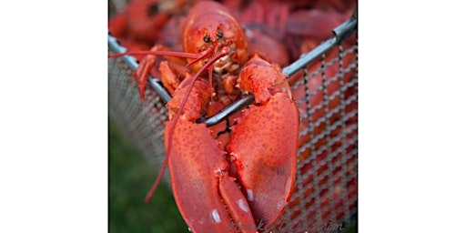 Rhode Island Lobster Boil