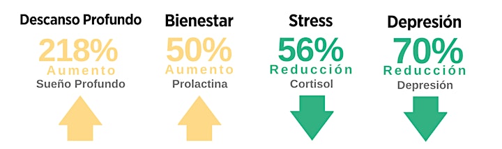Imagen de Taller online de respiración y meditación-Introducción gratuita