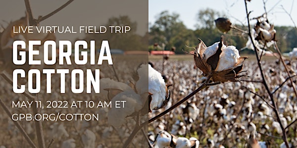 GPB Live Exploration: Georgia Cotton (TV/Online Event)