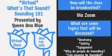 *Virtual* Wed Feb 16th 6-7:30PM PST "What's That Sound? Sounding 101" $15