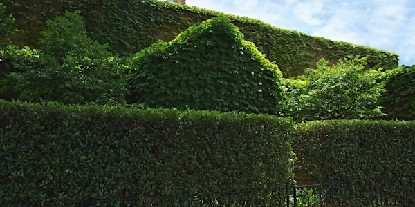 Woollahra Walk