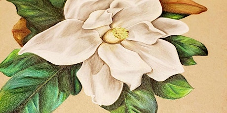 Colored Pencil Techniques – Spring Florals primary image