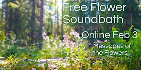 Free Flower Soundbath Online//Gratis klangbad inför Messages of the Flowers  primärbild