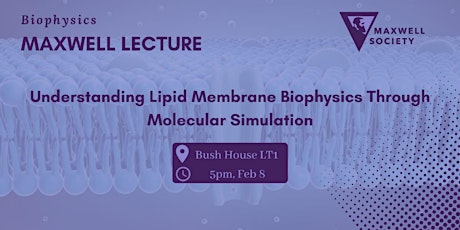 Understanding lipid membrane biophysics through molecular simulation primary image