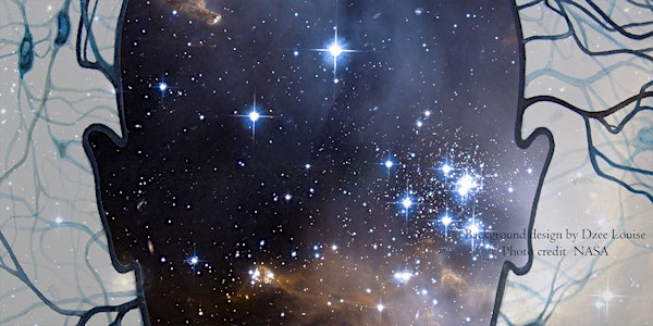 Neural Constellations: Exploring Connectivity
