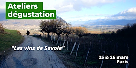 À la découverte du vignoble et des vins de Savoie
