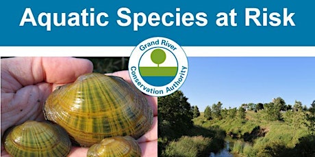 Image principale de GRCA Winter Webinar - Aquatic species at risk in the Grand River Watershed