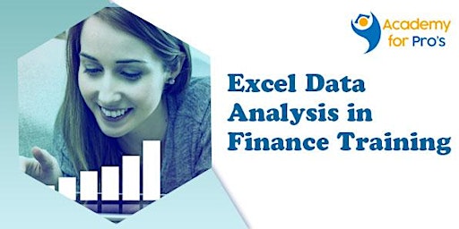 Excel Data Analysis in Finance Training in Hamilton