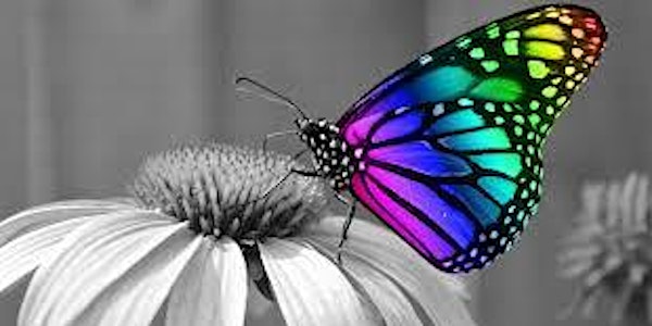 Cultivating Creativity