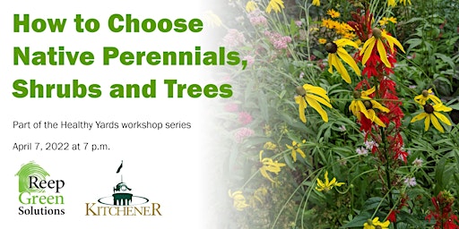 Image principale de Healthy Yards: How to Choose Native Perennials, Shrubs and Trees