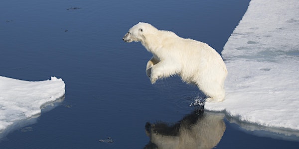 Doc Edge Presents: Speechless – The Polar Realm