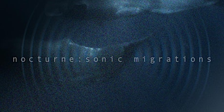 Nocturne: Sonic Migrations primary image